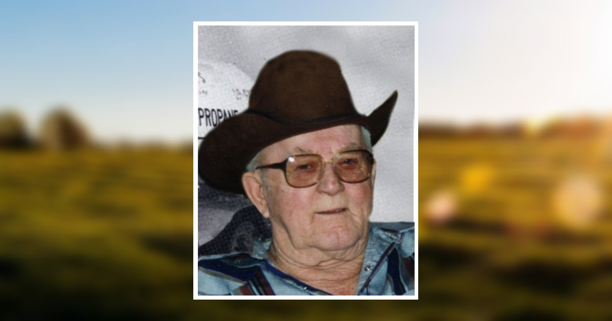 William Geving Obituary 2008 Stevenson Funeral Homes