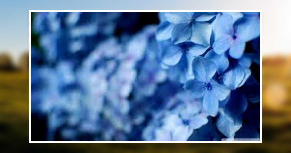 Shirley Coakley Obituary 2021 Hillier Funeral Home & Cremations