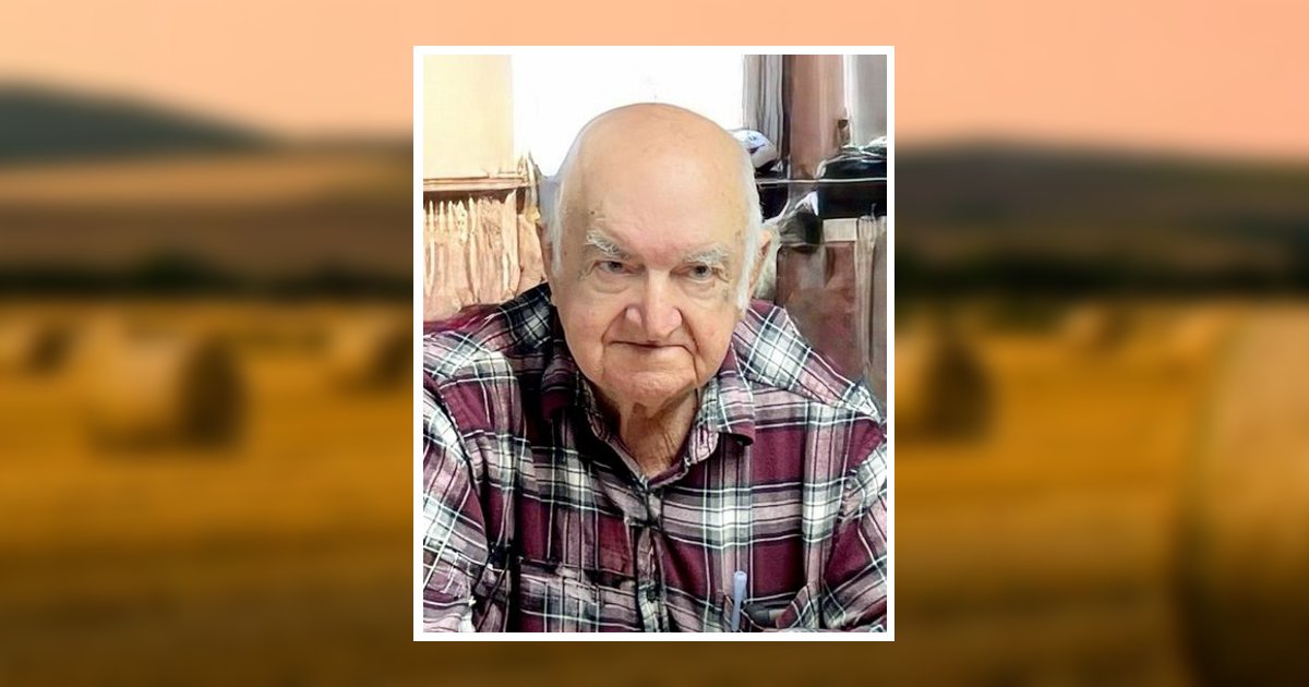 Portrait of Frank A. Intessimoni Sr.