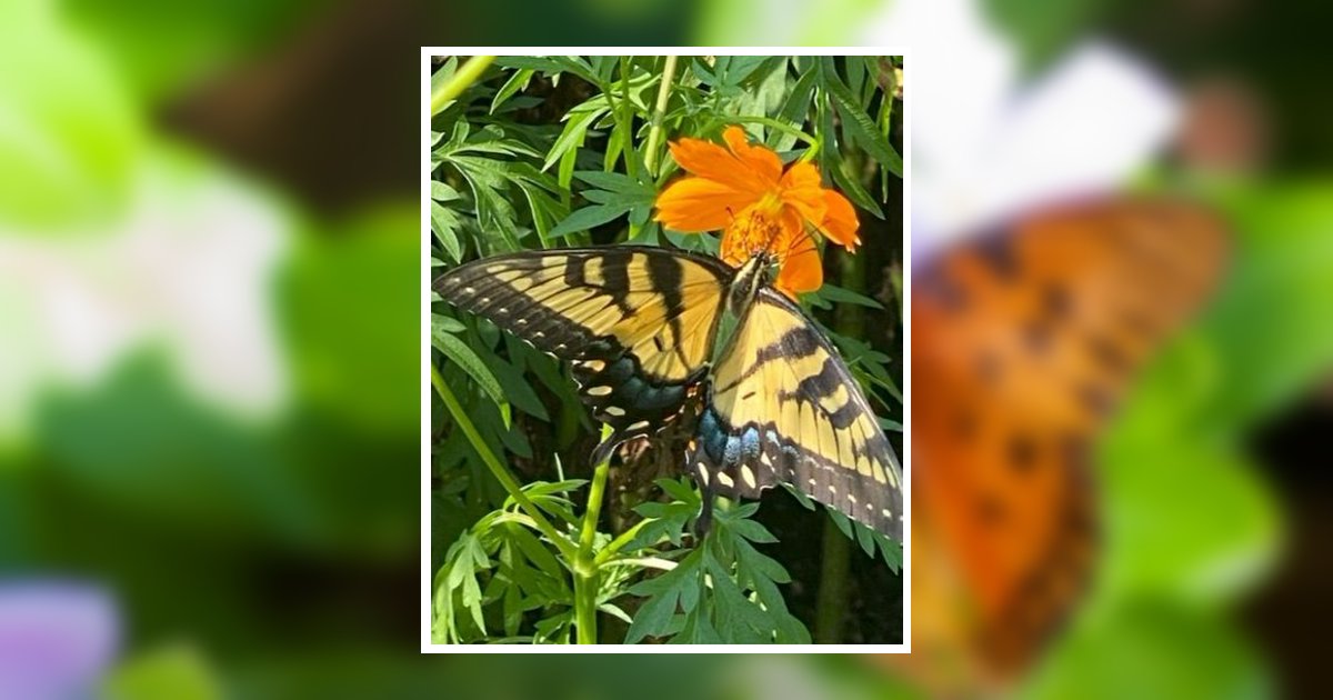Glenice Irene Archer Obituary, Colonial Heights, VA