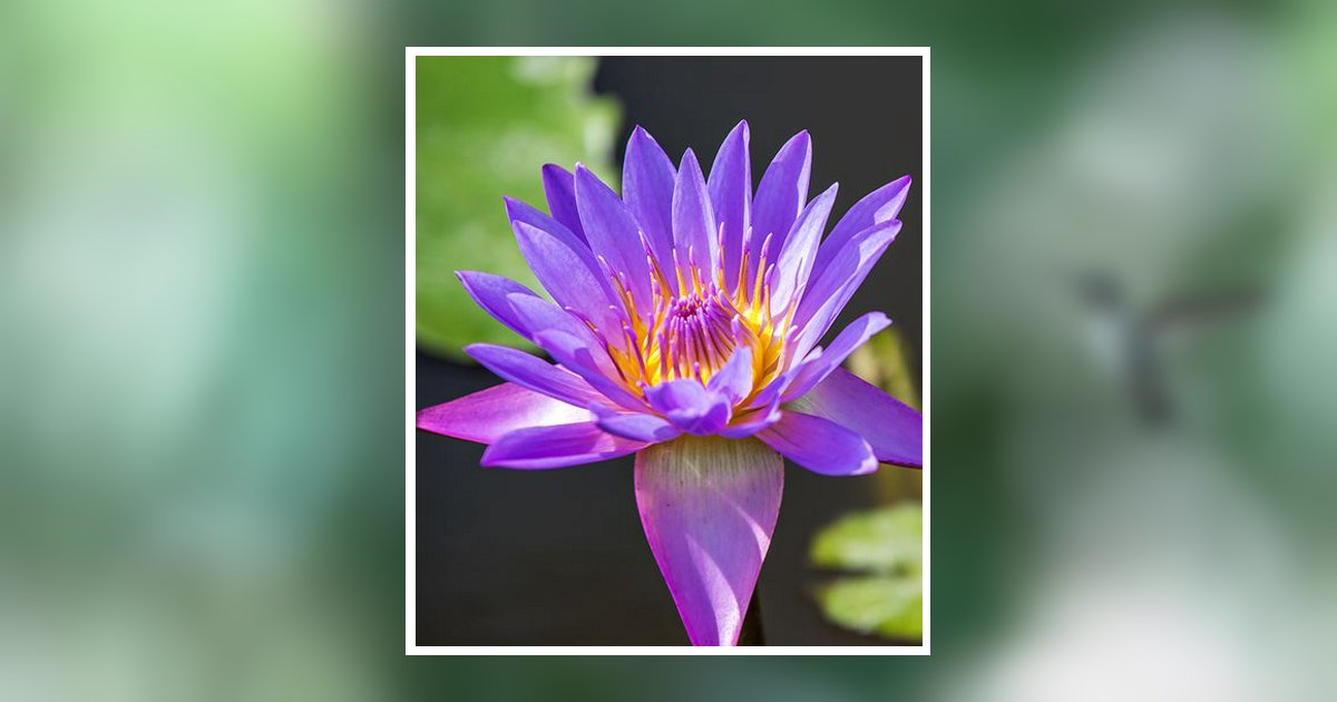 Barbara Ann Brackins Burleson Obituary, Newton, NC