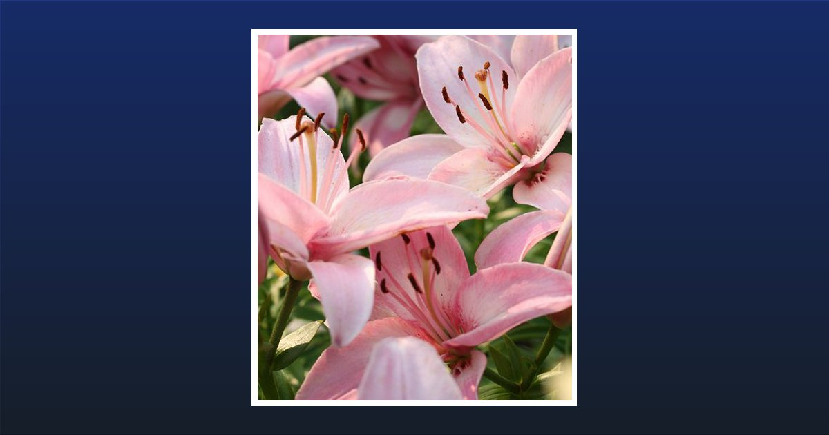 Susan Jane Wyrick Obituary, Henryetta, OK