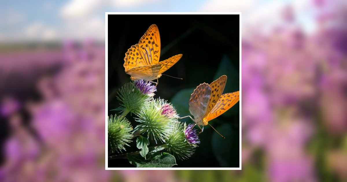 Joanne Horsley Obituary, Bowling Green, KY