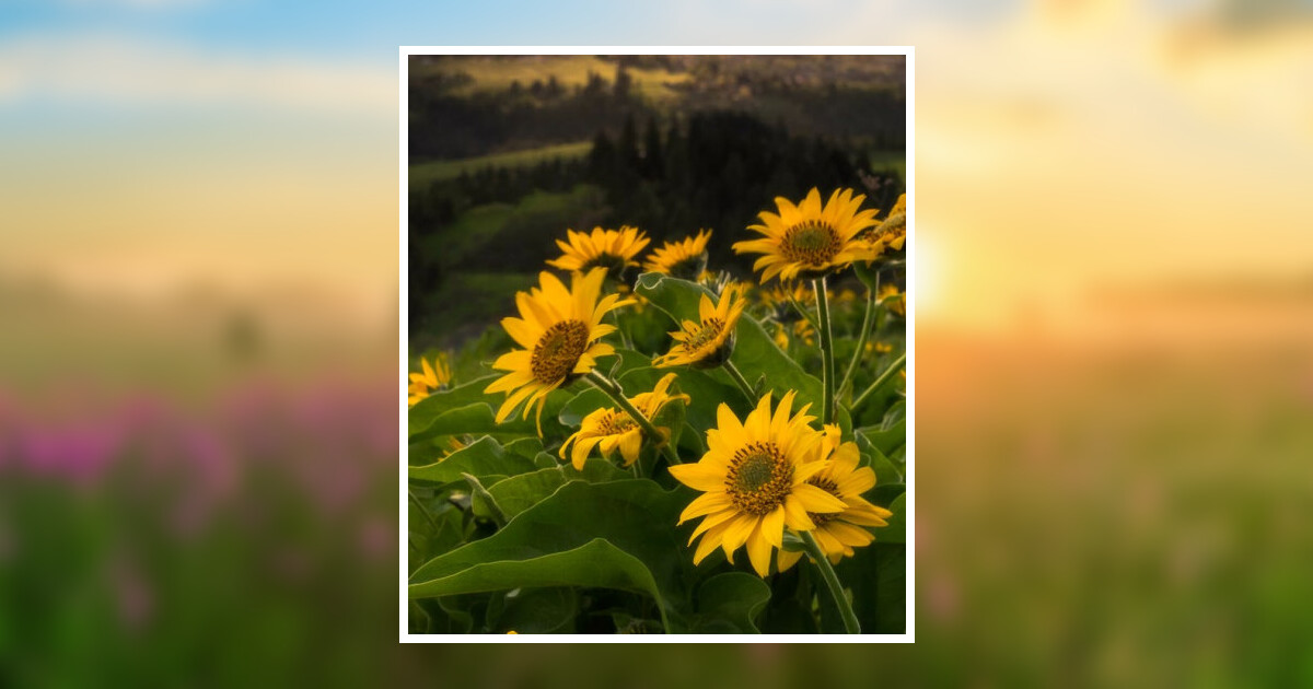 Glenna Lea Callendar Obituary 2024 - Sunset Memorial Gardens & Funeral Home