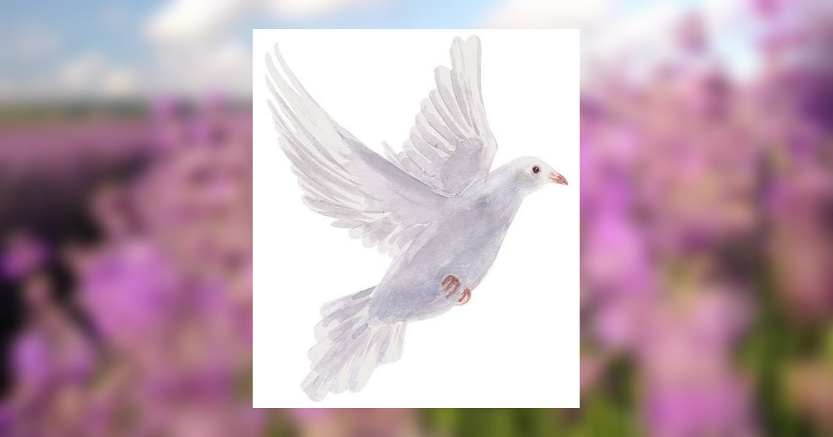 Anna H. Dietrich Obituary March 6, 2026 - Bednar Funeral Home, Inc.