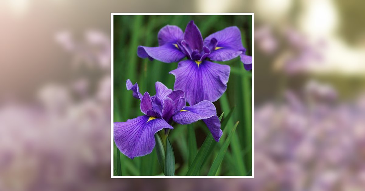 Jeanette Stephens Obituary, Nashville, TN