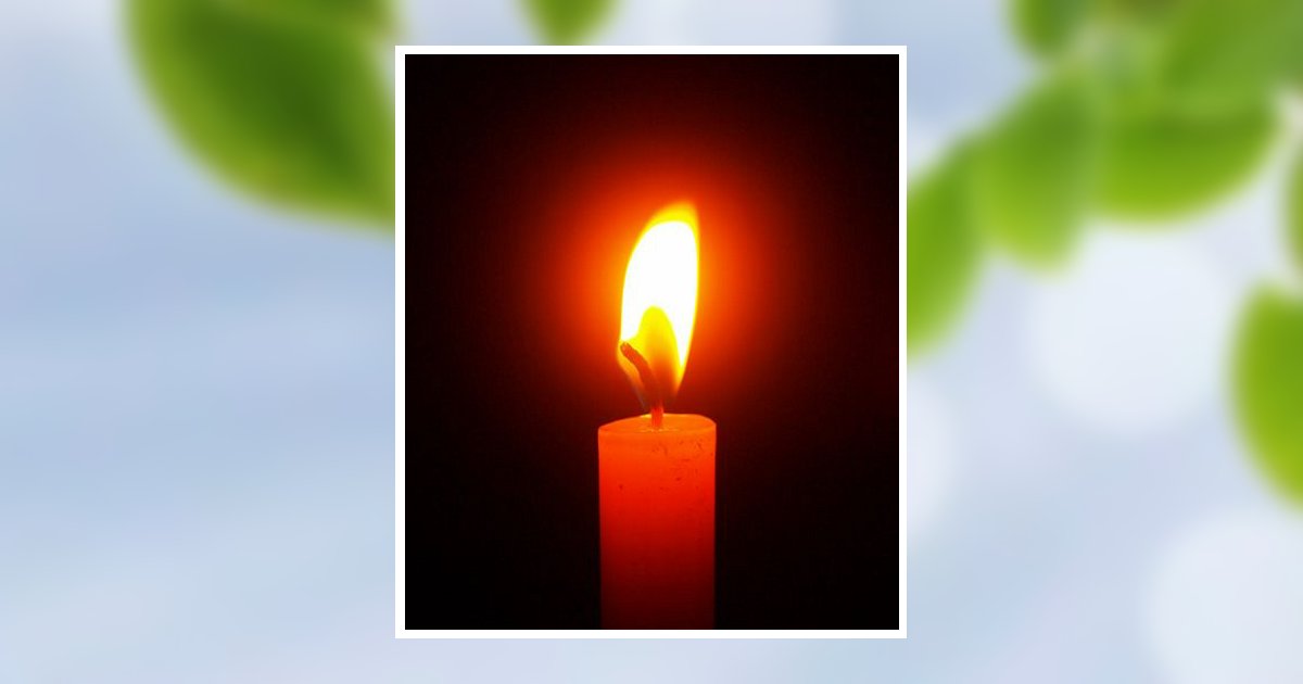 Paul Ulman Nelson Obituary, Pittsboro, NC