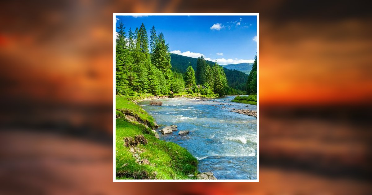 Susan Cecil Obituary, Raleigh, NC