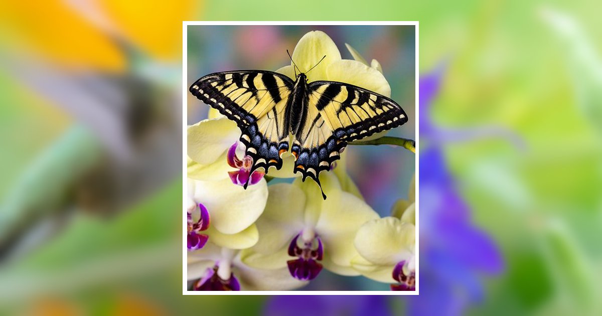 Bonna Mae Holdren Obituary, Nelsonville, OH