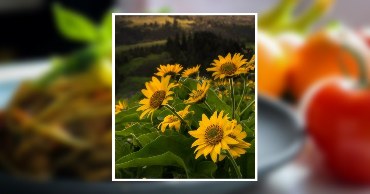 Carol May Henderson Obituary, Morrisville, PA