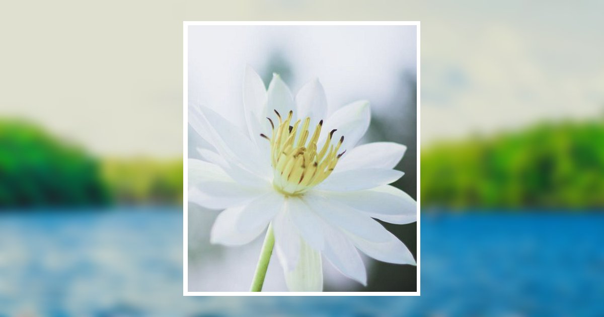 Mary Elaine Selby Mcknew