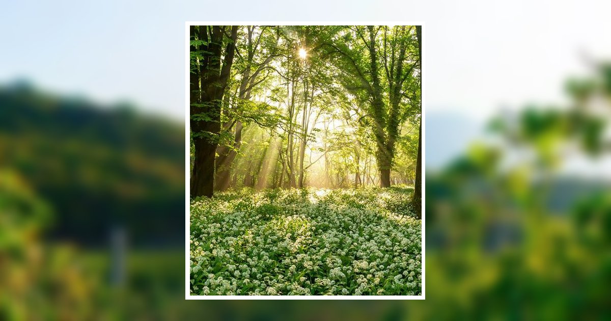 Vance P.  Pete Bracken Curwensville, PA Obituary