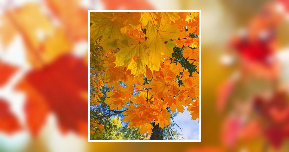 Patricia Ann Walker Obituary, Kenton, TN