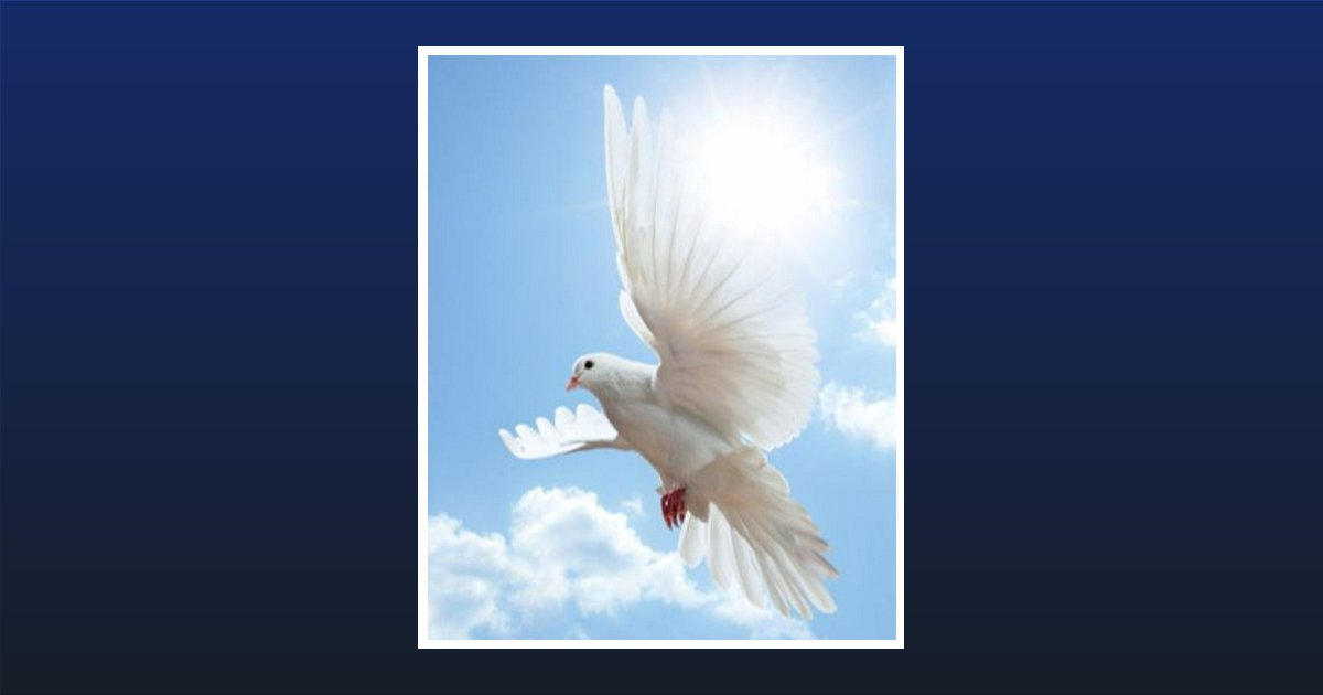 Ned Woods Jr. Obituary, Columbia, SC
