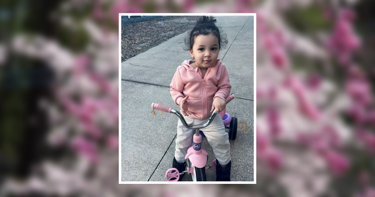 Adalyn "Addy" Atkins