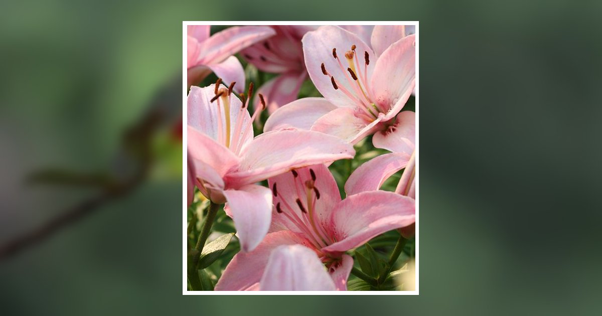 Wanda Ann Coulter Lewisburg, WV Obituary