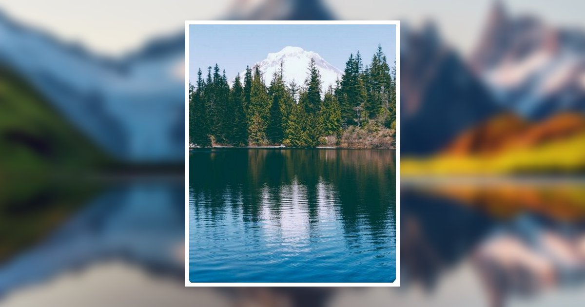 Carol Ann Stanley Nephi, UT Obituary