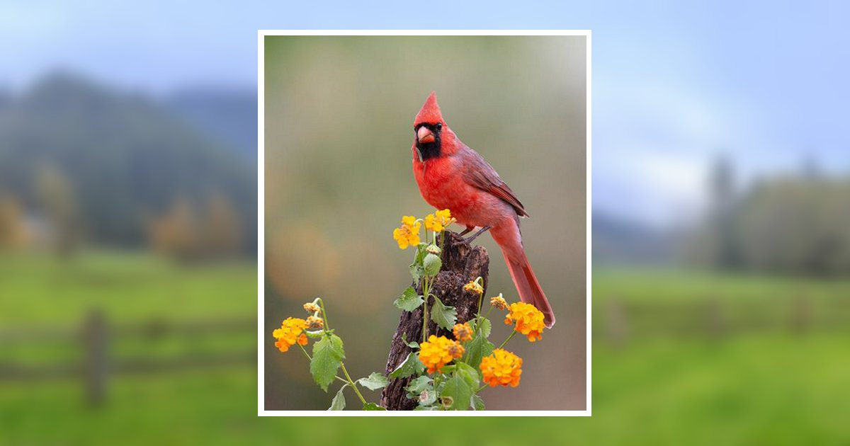 Sr. William Sydney Covington Benbrook, TX Obituary