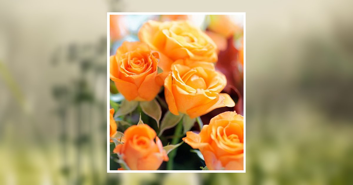 Bella Ann Cox Henderson, TN Obituary