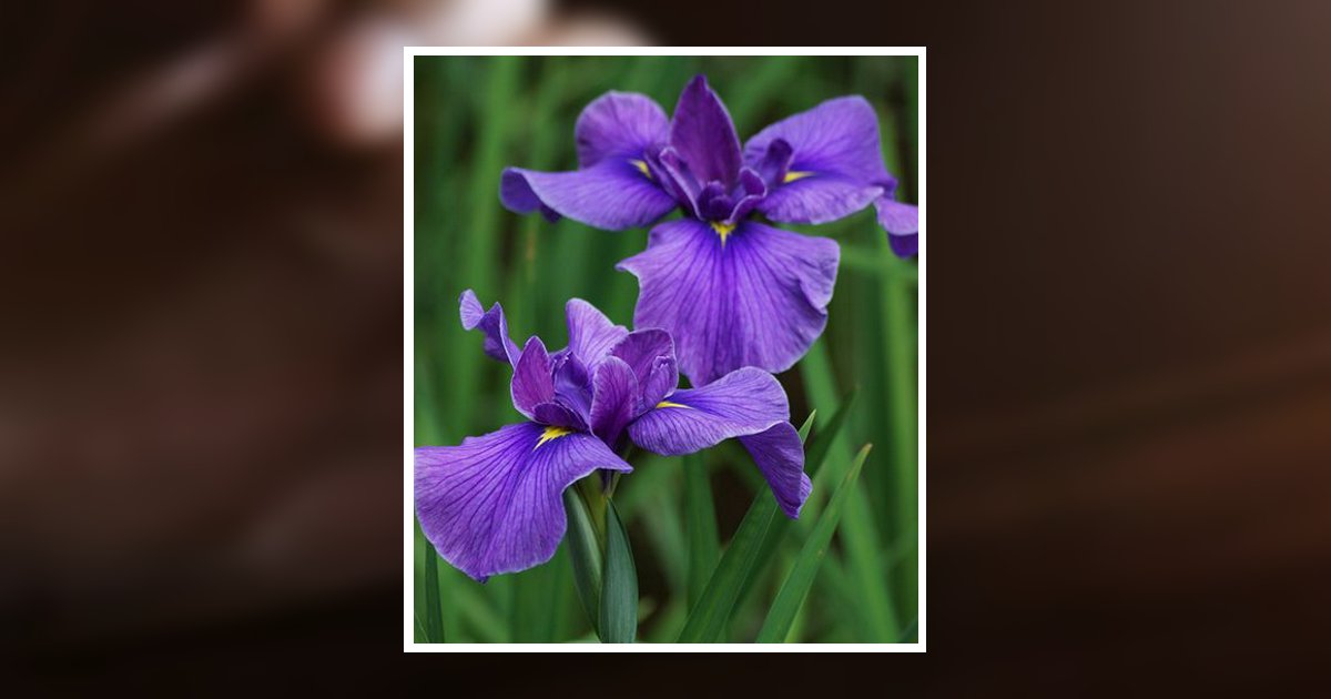 Wanda Lou Smith Obituary, Stuart, VA