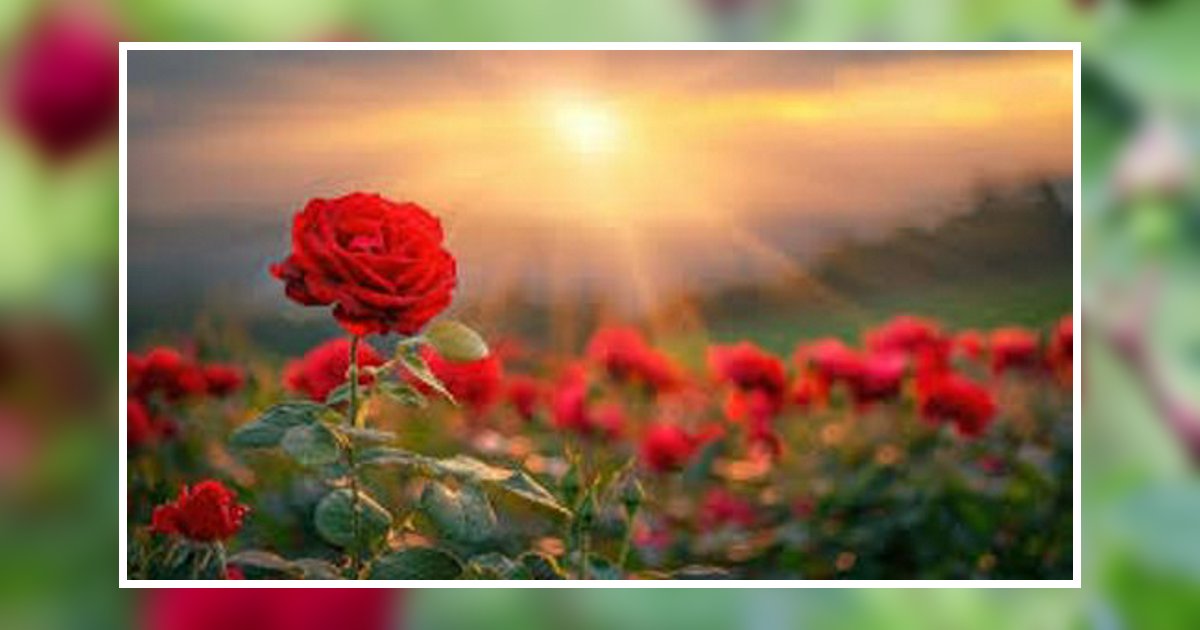 Geraldine Eaton Beardstown, IL Obituary