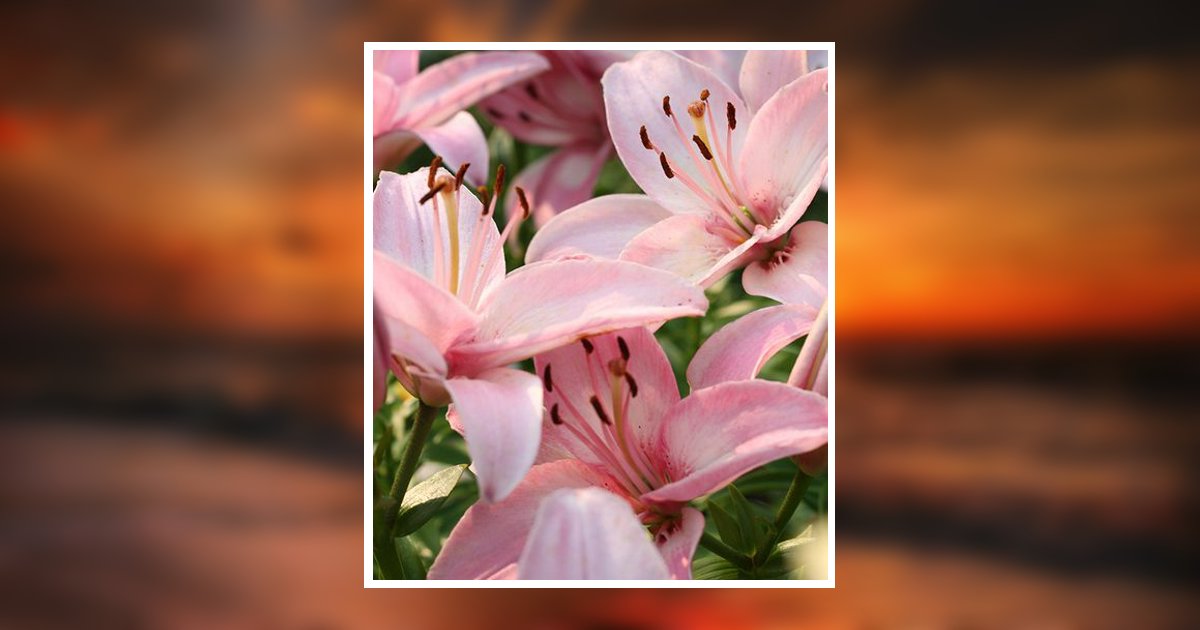 Marjorie Arlene Shafer Mack Obituary, Smithfield, UT