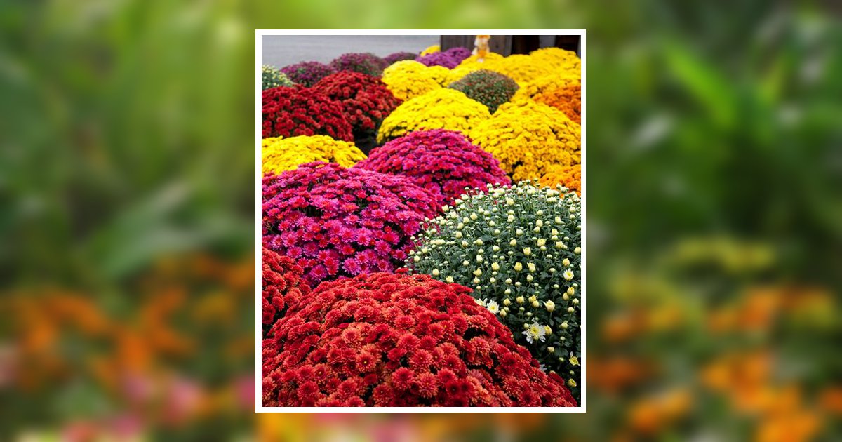 Christine Laskey Obituary, Wakefield, RI