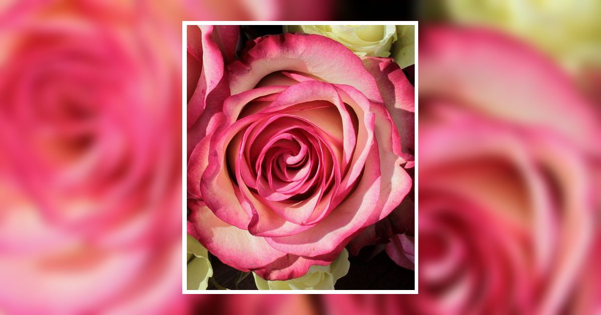 Rosa Del Carmen Fierro De Ochoa Obituary, El Paso, TX