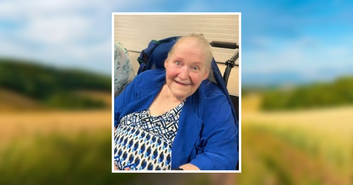 Sandra Sue Tinnermeier Obituary, Christiansburg, VA