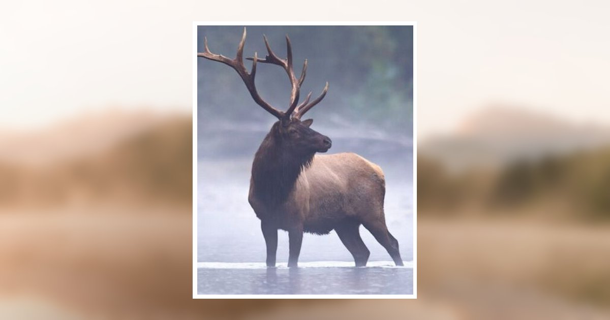 Allan Dean Morrison Obituary, Pocatello, ID