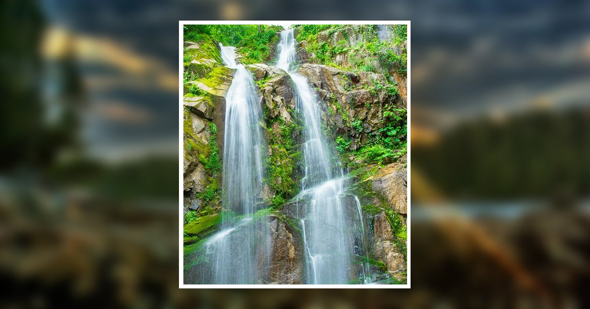 Forest Wind Elkin Manchester, KY Obituary