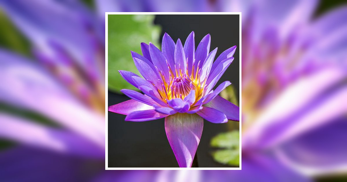 Clemencia Niyokindi Obituary, Shelbyville, TN