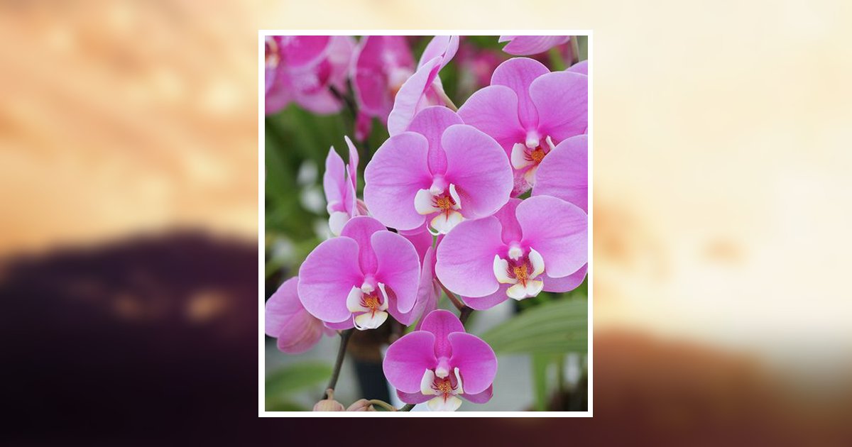 Mabel L. Menei Obituary, Morrisville, PA