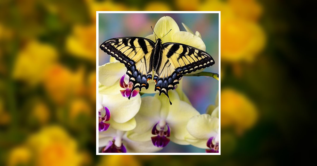 Marilyn Rhea Rassman Obituary, Carrollton, KY