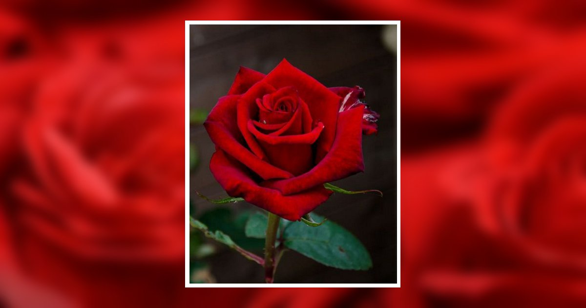 Doris Slaton Obituary, Boaz, AL