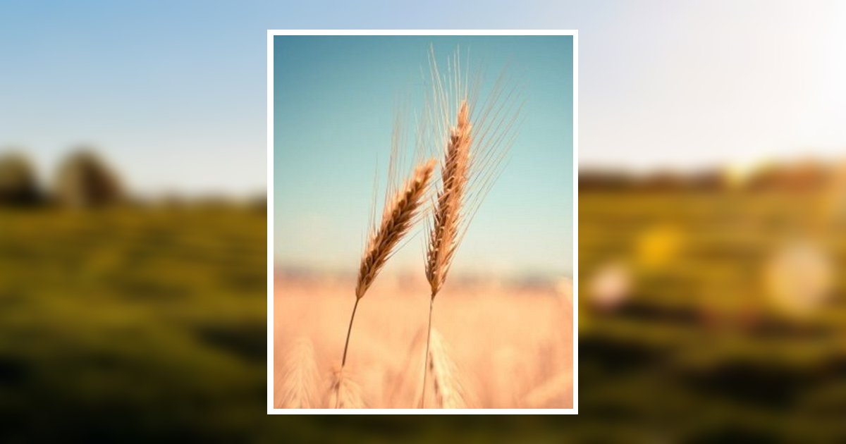 Stephen Gary Beard Obituary 2022 Grenoble Funeral Home, Inc and