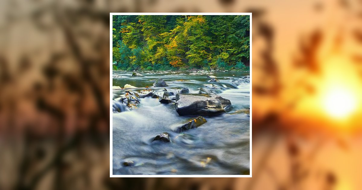 Steven Ronald Leseney Obituary, Charlotte, MI