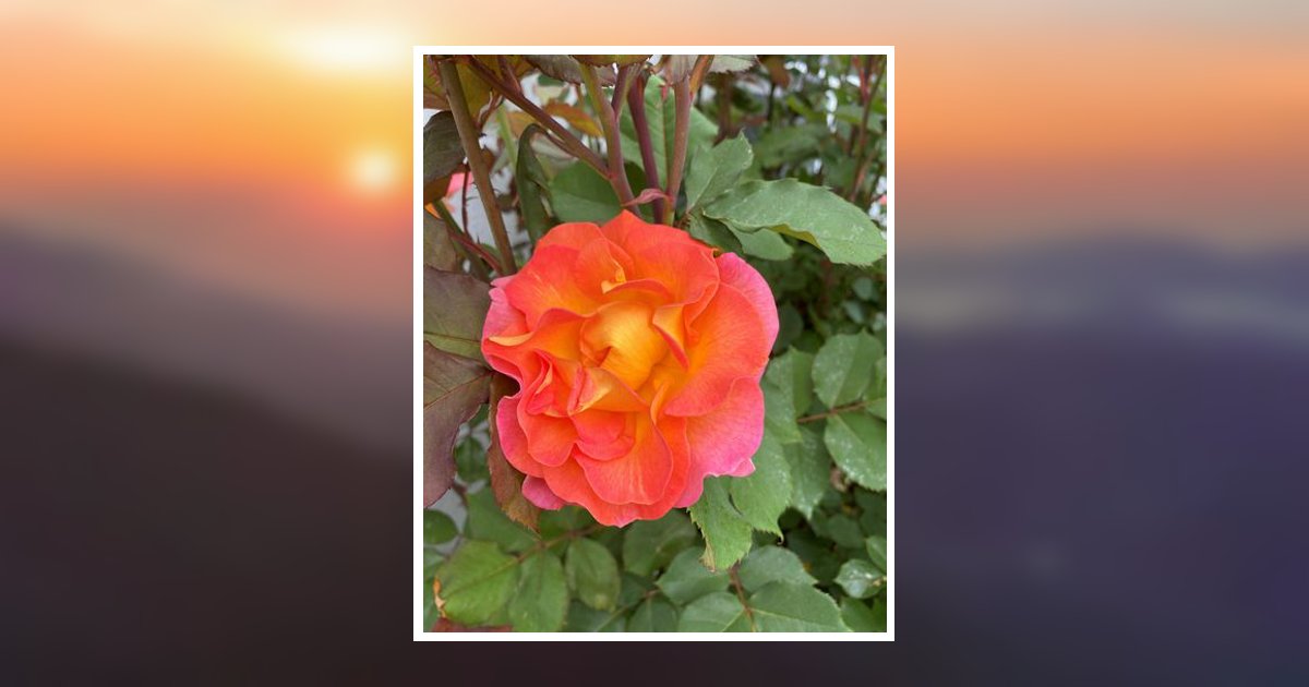 Zion Malachi Leid New Holland, PA Obituary