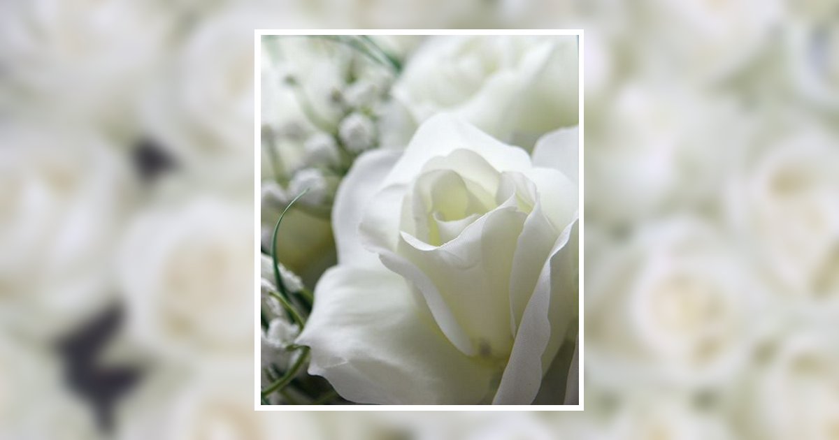 Debbie Holloway Obituary, Raleigh, NC