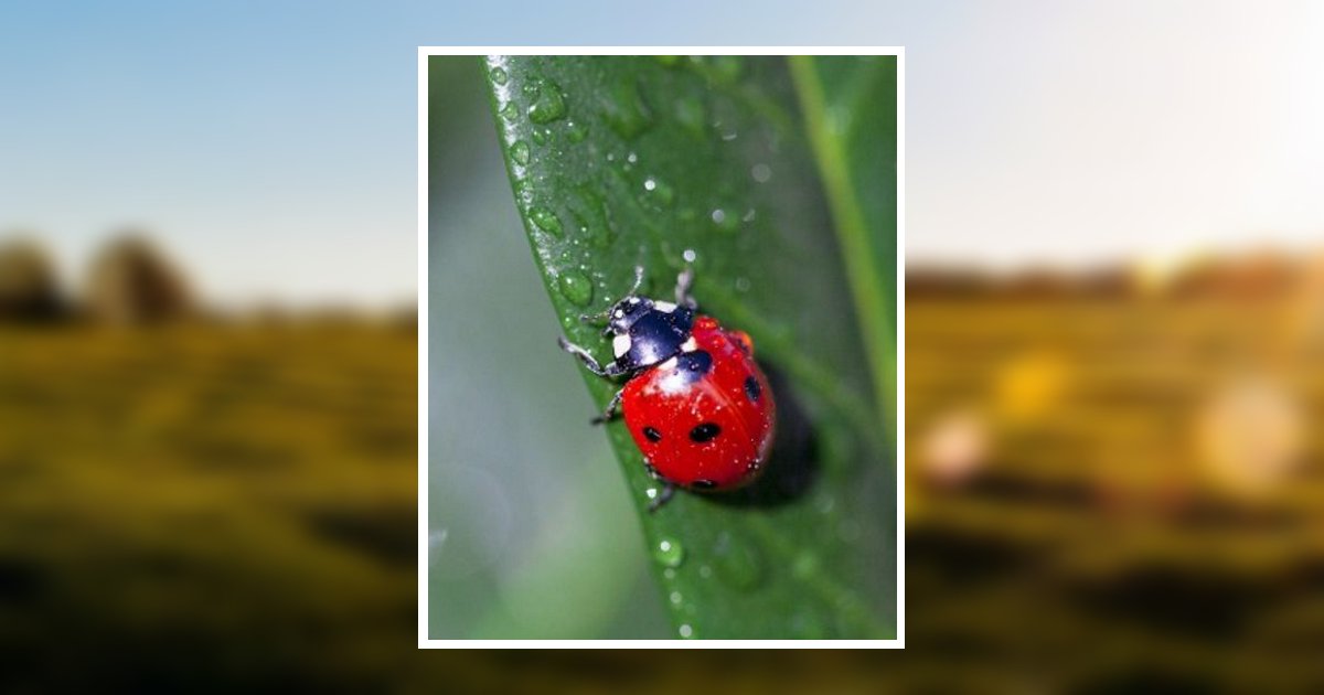 Margaret Burdick Obituary 2024 Lundy Funeral Home & Cremation Service
