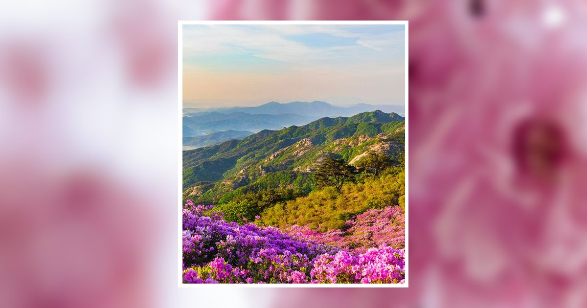 Geneva Miller London, OH Obituary