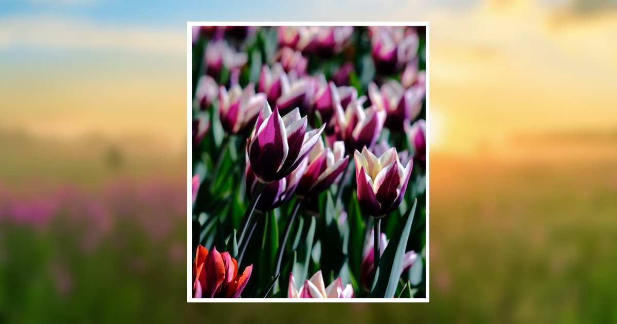 Judy Cheryl Crouch Obituary, Bowling Green, KY