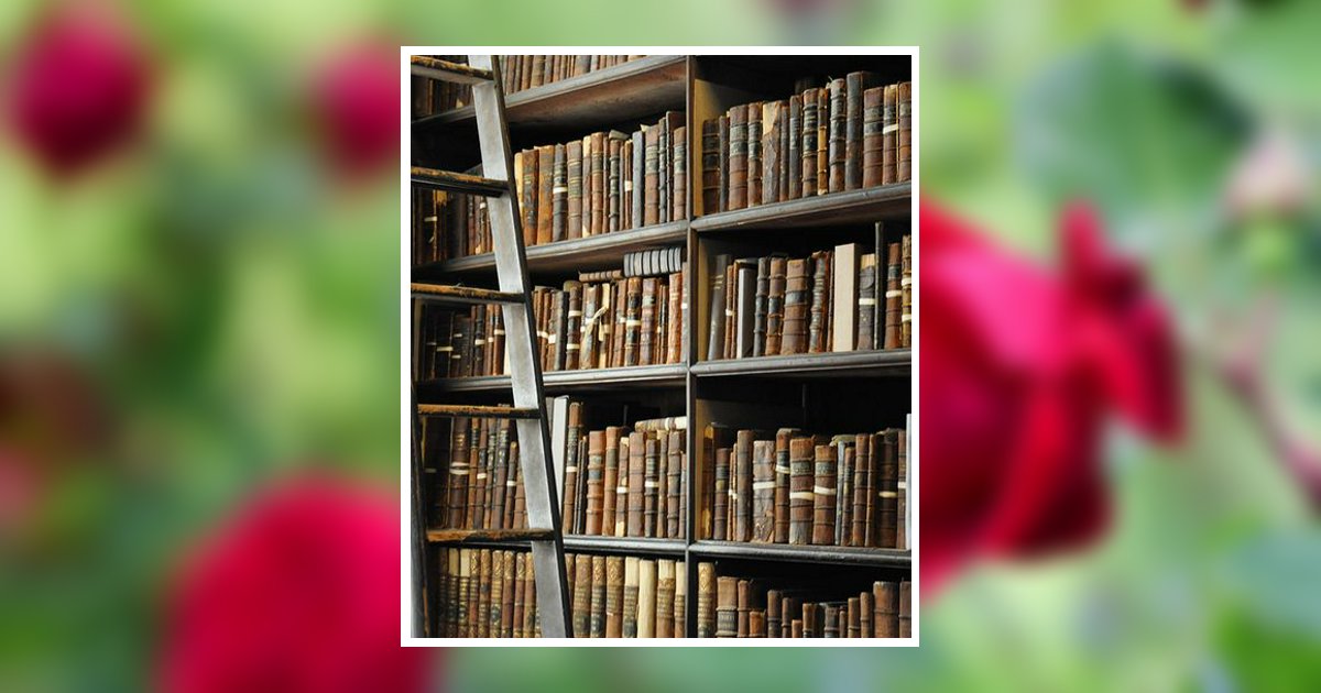 Elizabeth Ann Foster Denton, TX Obituary