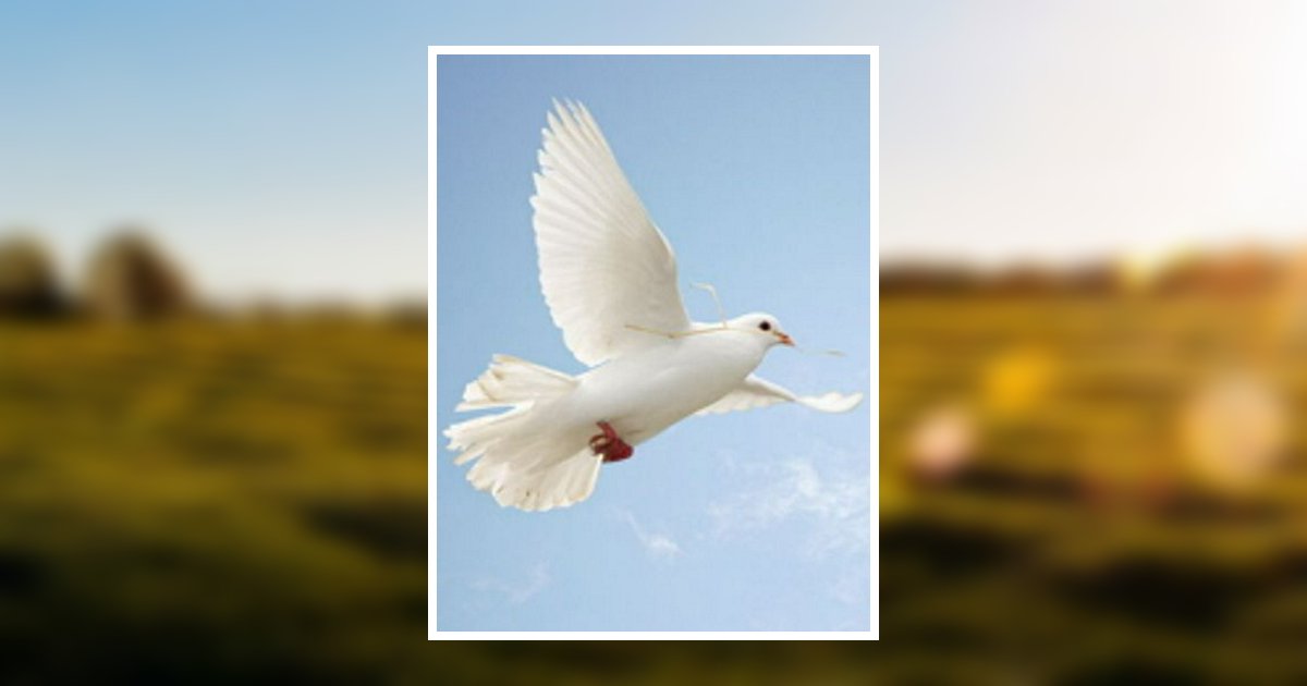 Raymond D. Vollmar Obituary 2007 Trainor Funeral Home