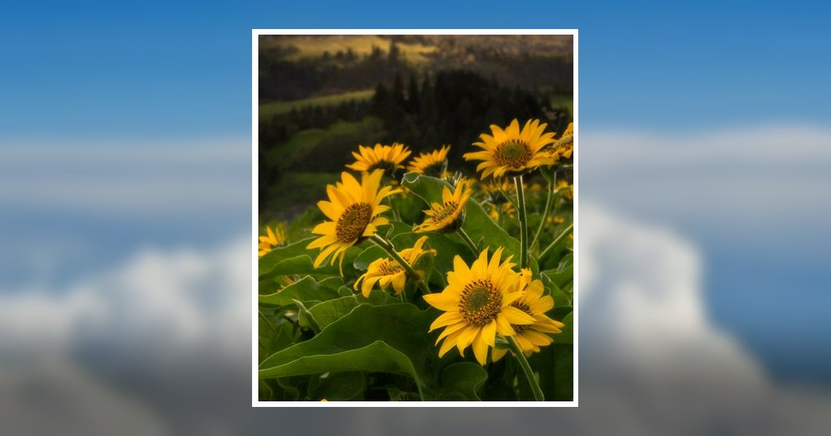 Candy Lacrettia Haddock (Sprofera) Obituary 2024 Golden Gate Funeral