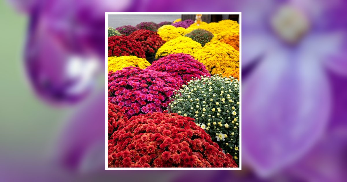 Holly Marshall Obituary, Markesan, WI