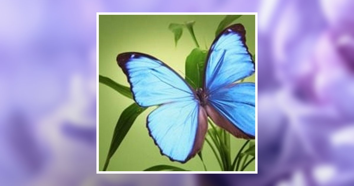 Laura Kay Dinning Obituary, White Oak, PA