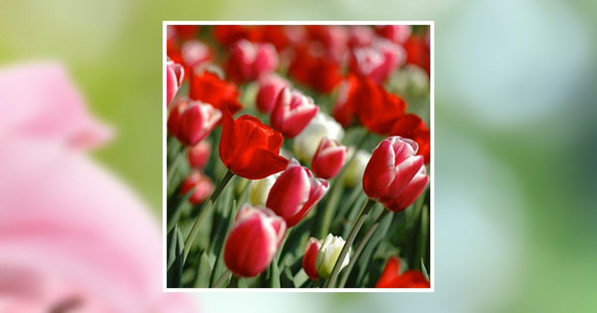 Elizabeth Betty Sheets Obituary 2014 Forest Lawn