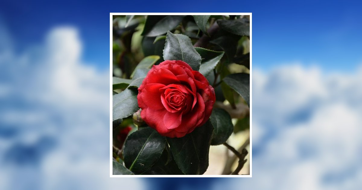 Melinda Colbroth Obituary, Dukedom, TN