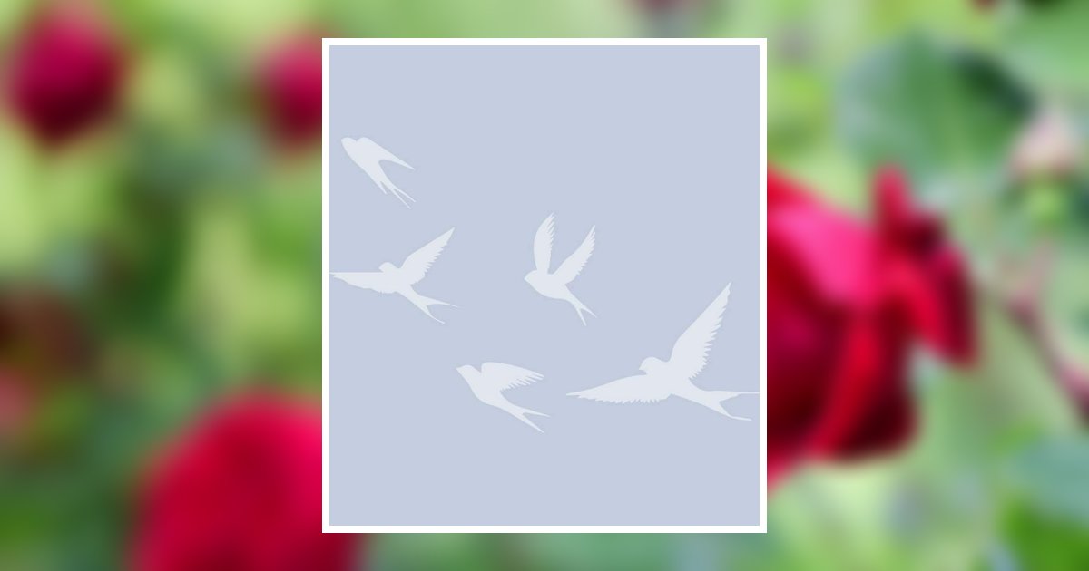 Kristen L. Stephenson Obituary, Kennedale, TX